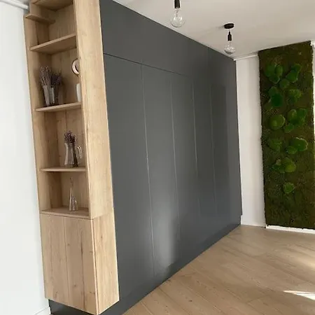 Apartment Indoor Tranquility *